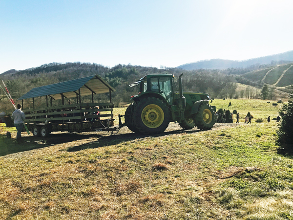 hayride and tractor